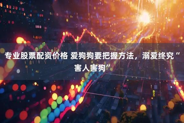 专业股票配资价格 爱狗狗要把握方法，溺爱终究“害人害狗”